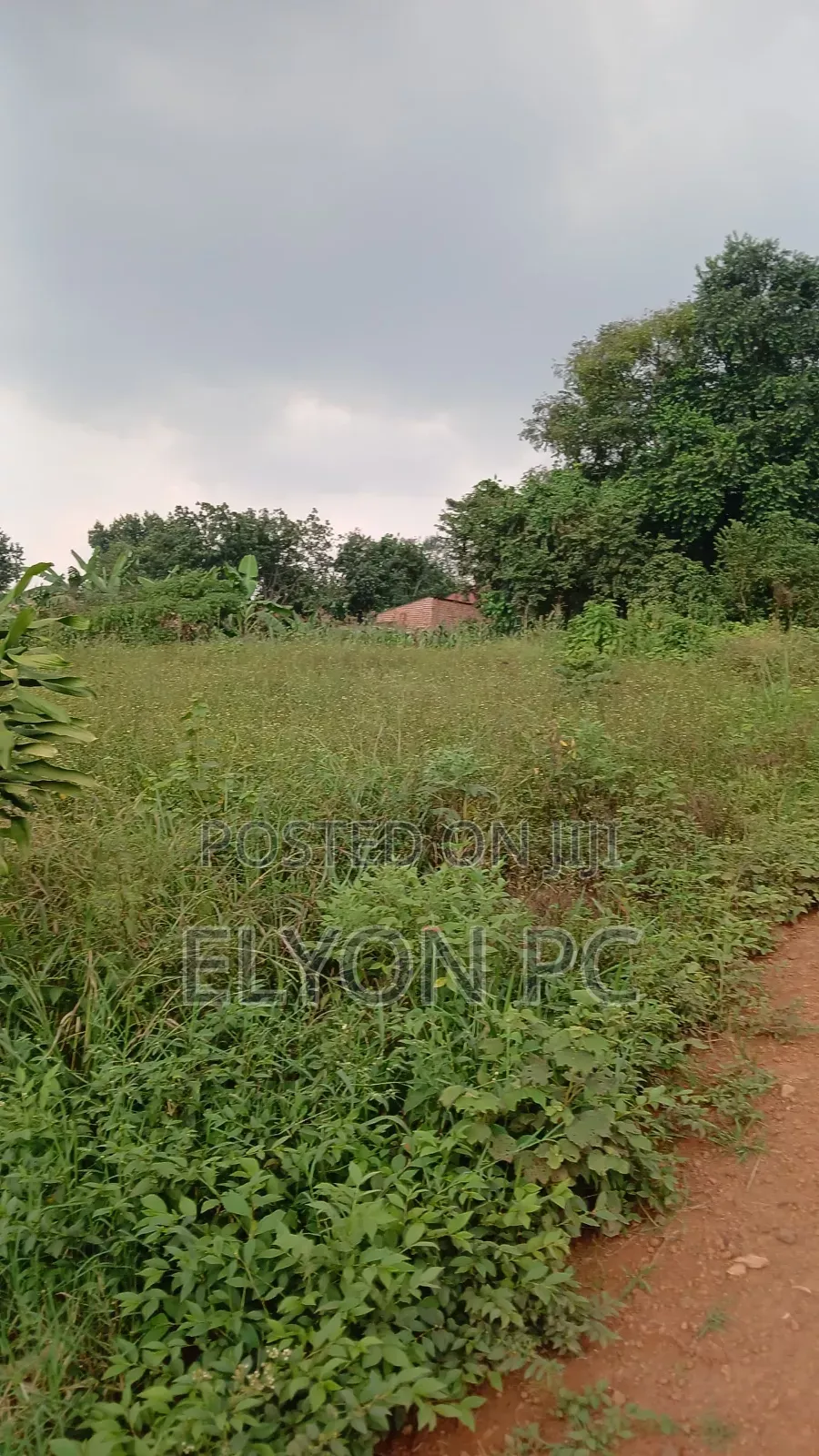 5 Acres in Mpingi at 50m Each