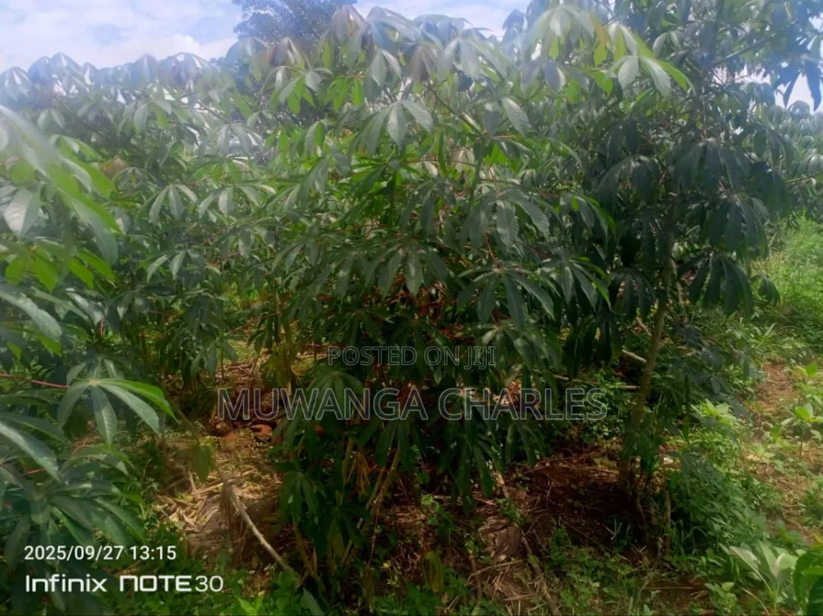 2acres of Land on Sale in Matugga Gombe