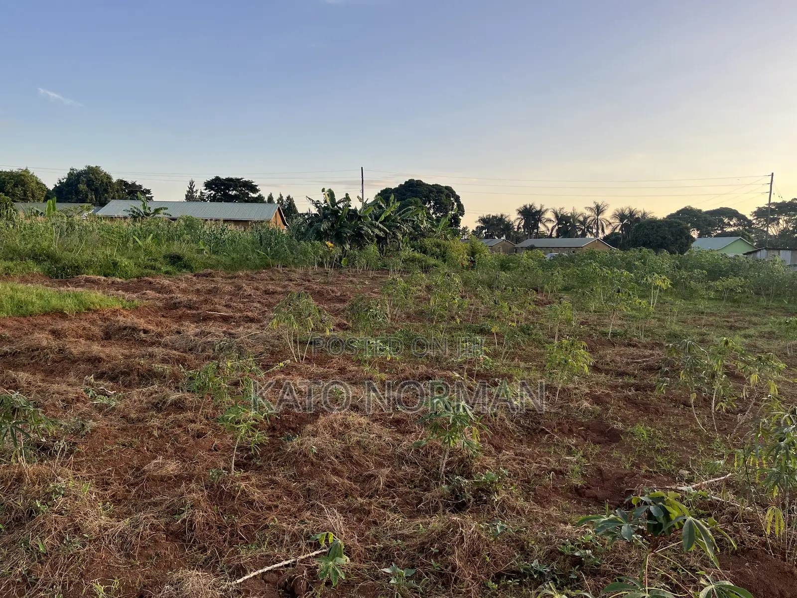 Plot for Sale