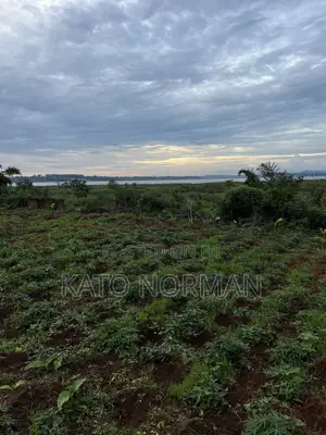 Plot for Sale