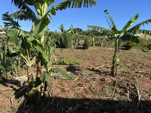 Plot for Sale