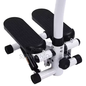 Twist Stepper Full Body Low-Impact Home Exercise Stepper