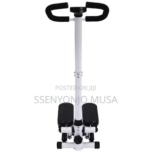Twist Stepper Full Body Low-Impact Home Exercise Stepper