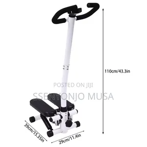 Twist Stepper Full Body Low-Impact Home Exercise Stepper