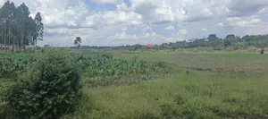 40acres on Sale in Busika