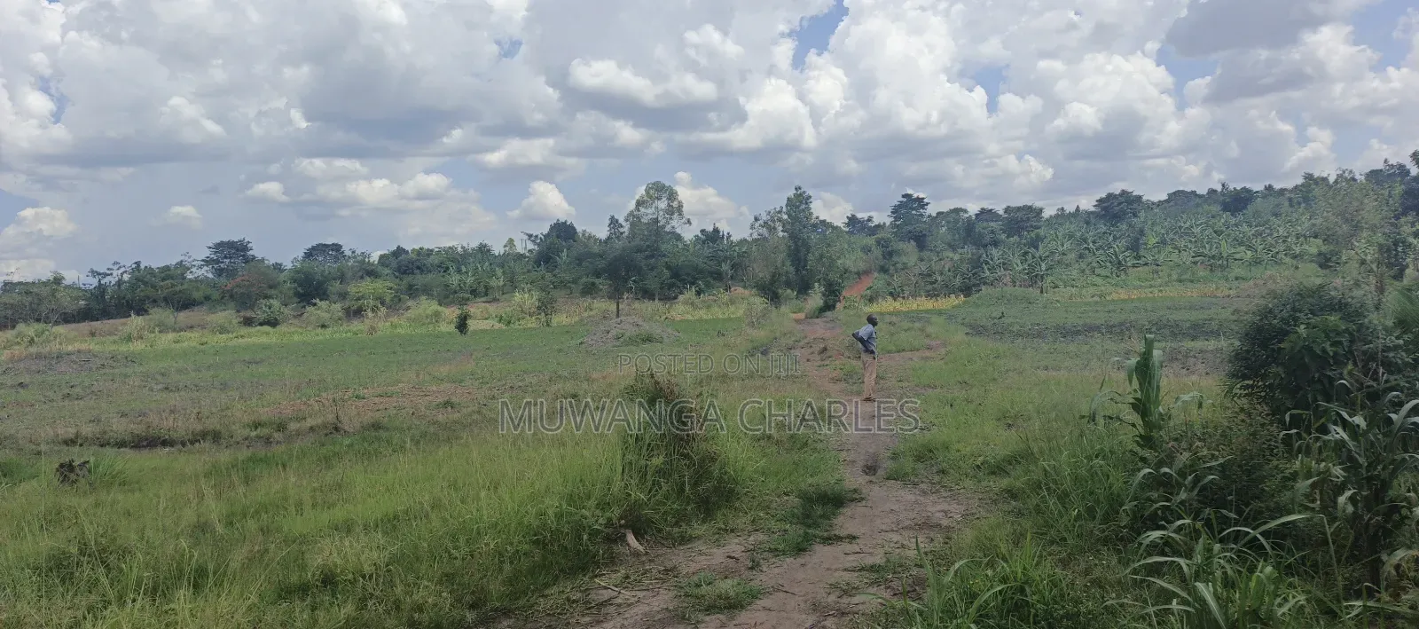 40acres on Sale in Busika