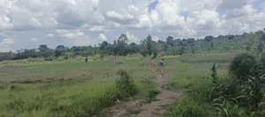 40acres on Sale in Busika
