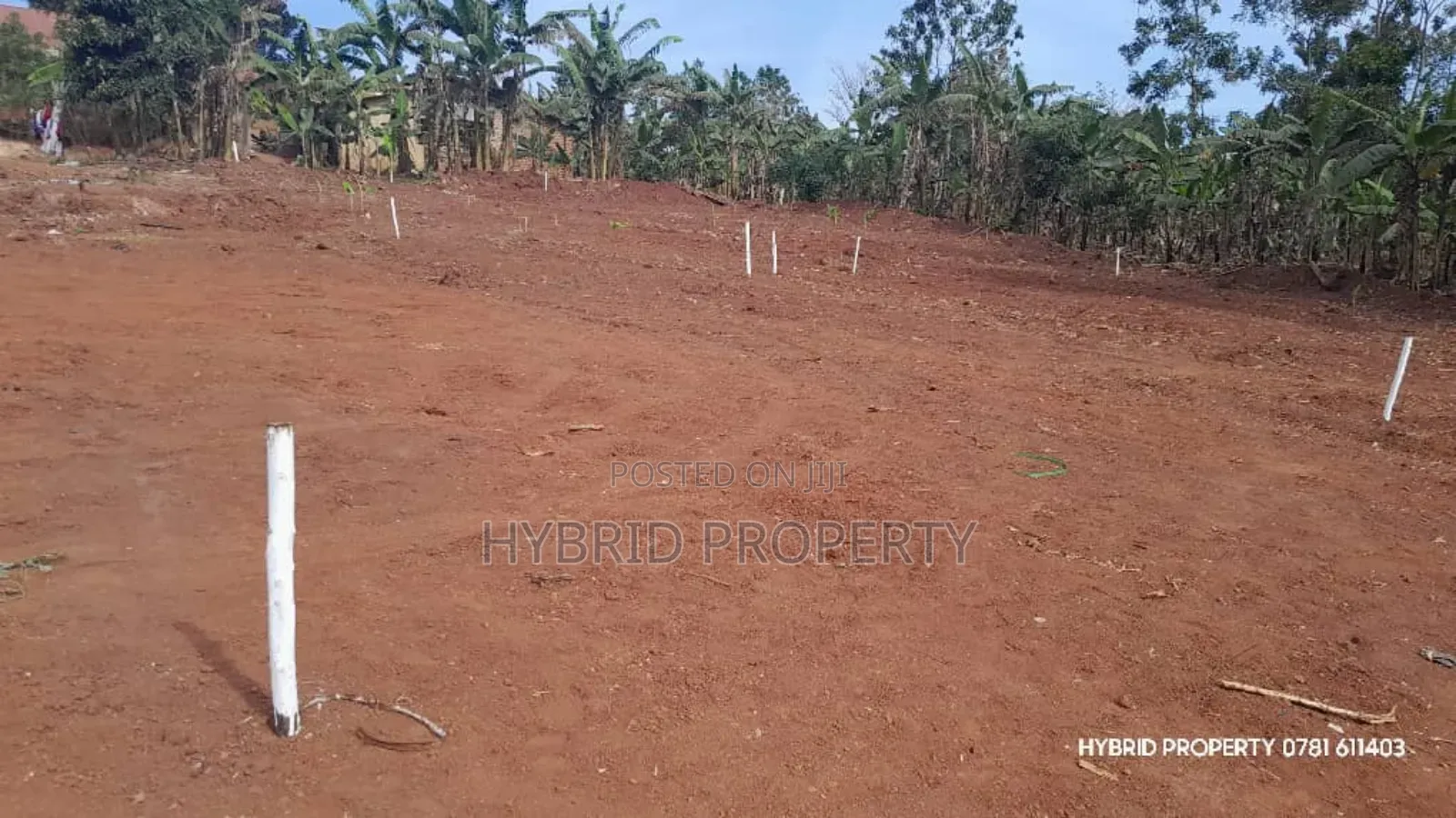 Prime Plots for Sale in Katende Town Kulya Show Land Estate~Masaka Rd.