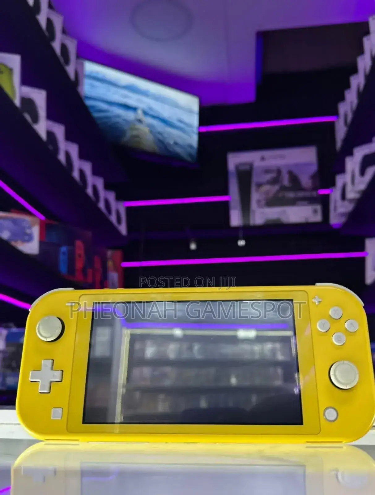 Nitendo Switch Lite That Is Slightly Used. Just One Month Used
