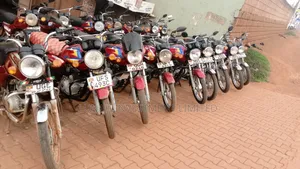 Bajaj Boxer 100 2025 Red