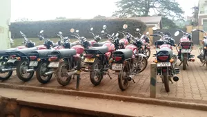 Bajaj Boxer 100 2025 Red