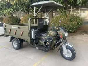 Tricycle 2025 Green