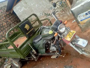 Tricycle 2024 Green