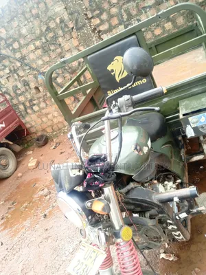 Tricycle 2024 Green