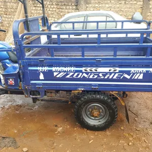 Tricycle 2024 Blue