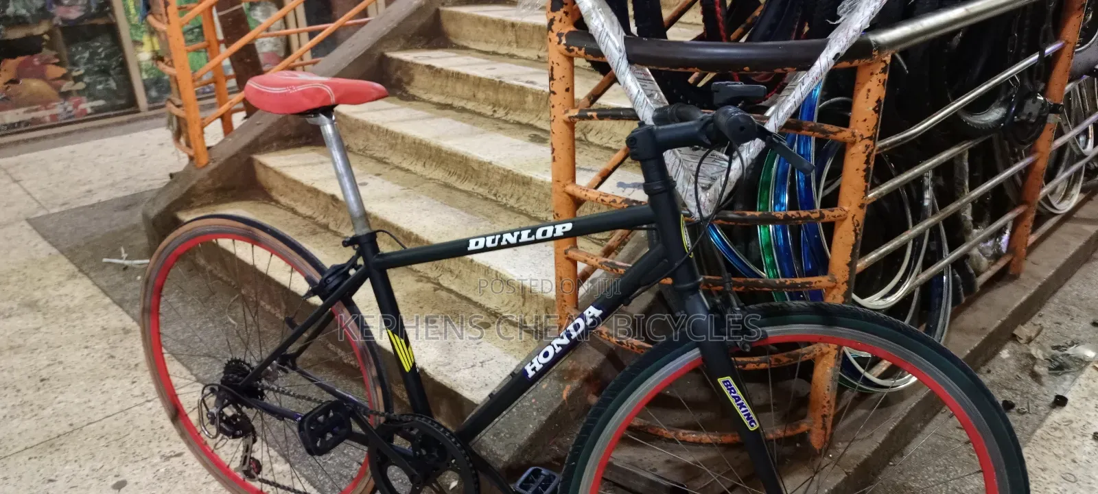 Adultt Bike Size