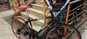 Adultt Bike Size
