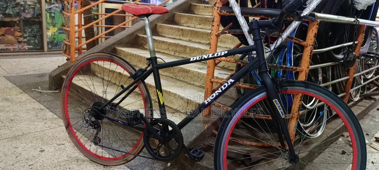 Adultt Bike Size