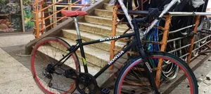 Adultt Bike Size