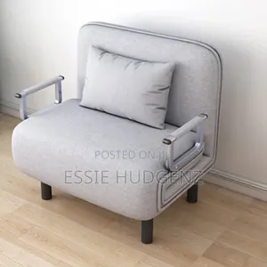 Bed Sitting Retractable Sofa Bed