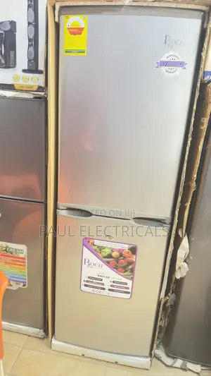 Roch Refrigerator 160l Bottom Freezer