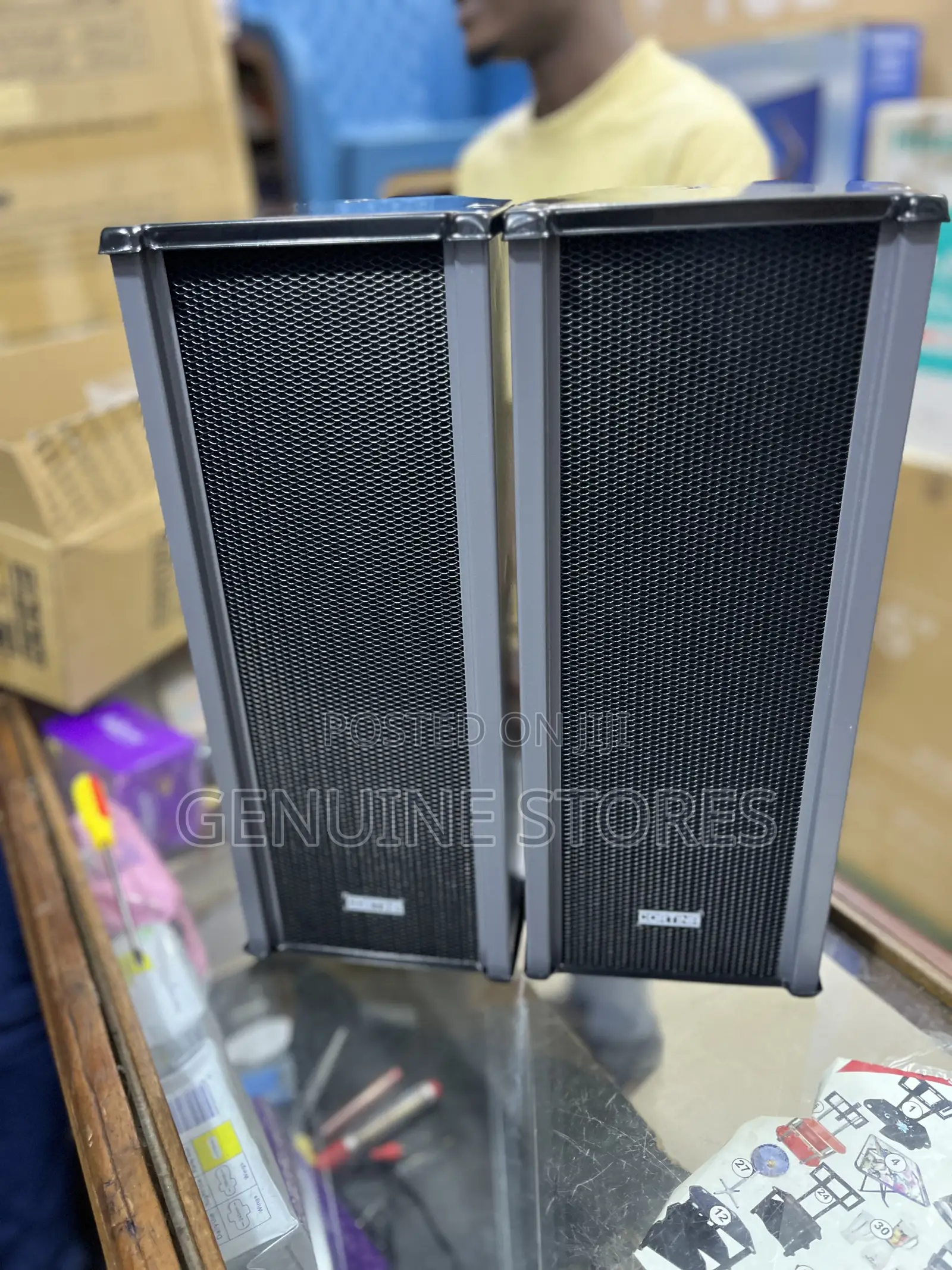 Cortina 30w Dual / Double Speakers or 12 Inches.