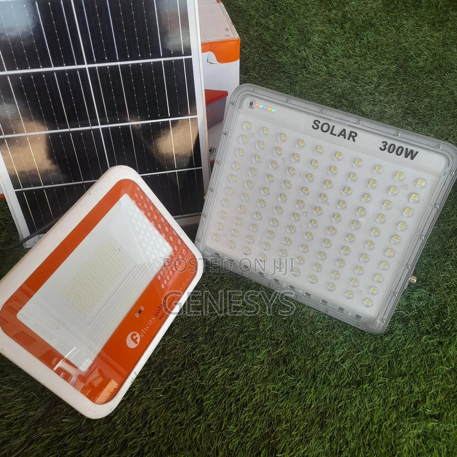 Solar Flood Lights