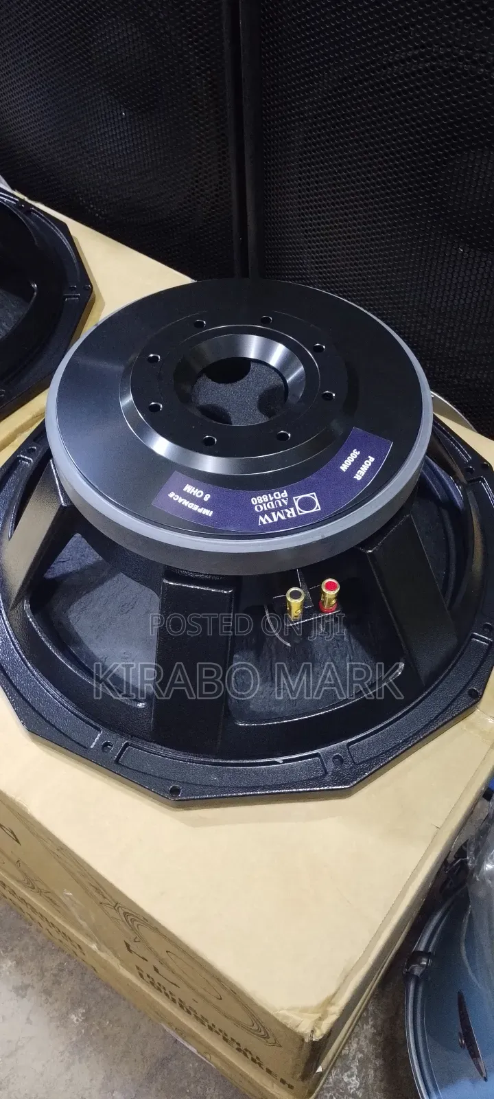 Naked Speakers ( Woofers)