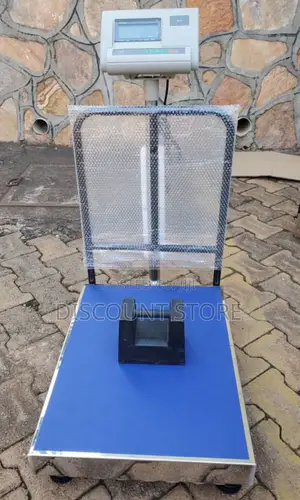 A12 Stainless Steal Weighing Scale 300kg Weigh Digital Weighing Scale
