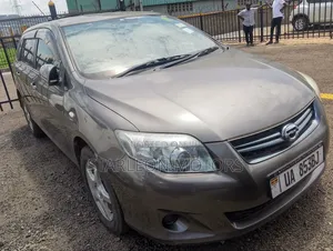 Toyota Corolla Fielder 2010 Gray