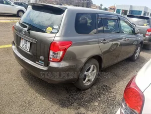 Toyota Corolla Fielder 2010 Gray