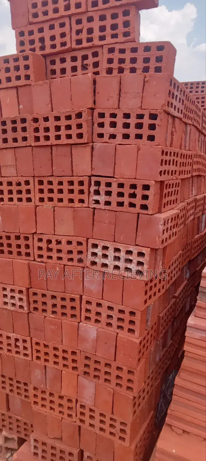 Selected Wall 1 Bricks