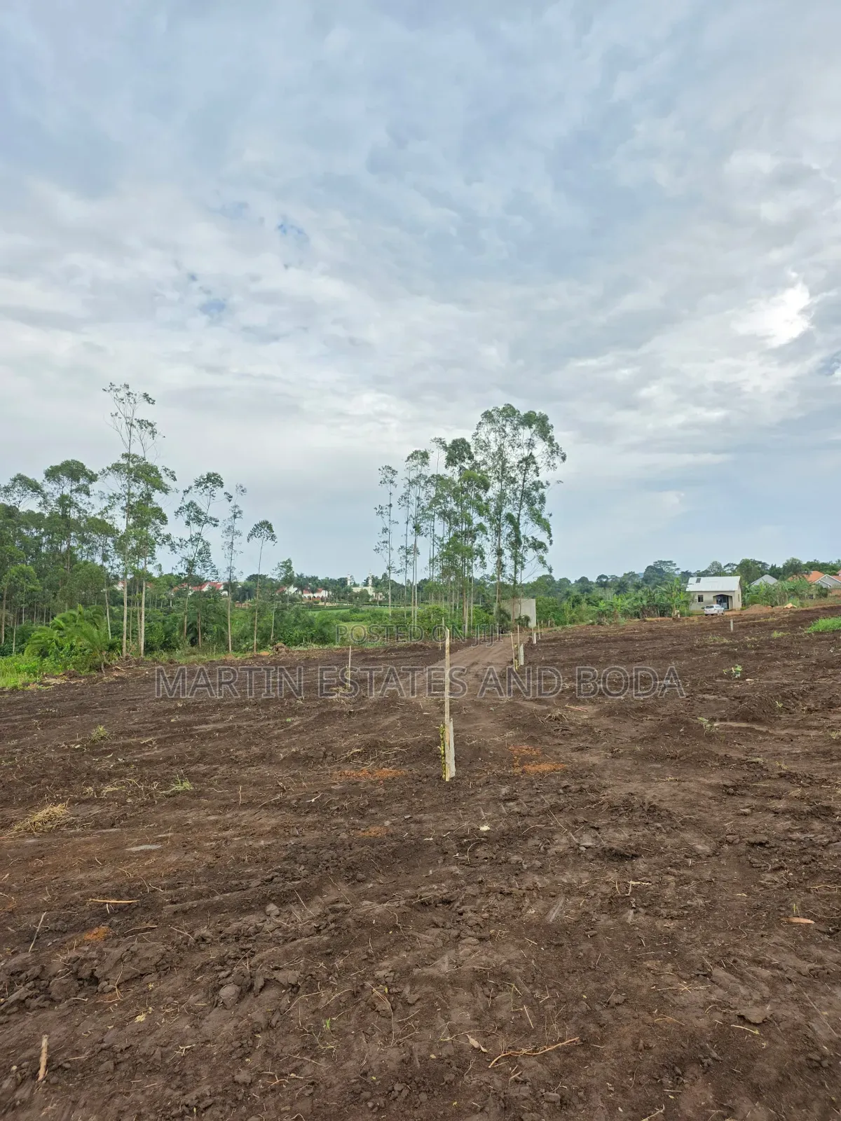 Kiwenda Estates