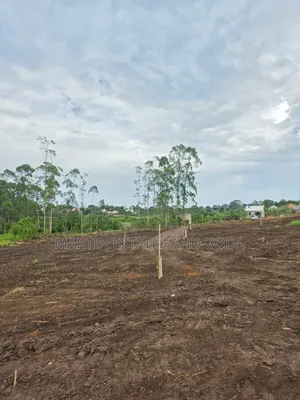 Kiwenda Estates