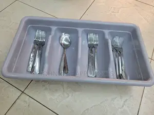 Hard Plastic Cutlery Organizer Set