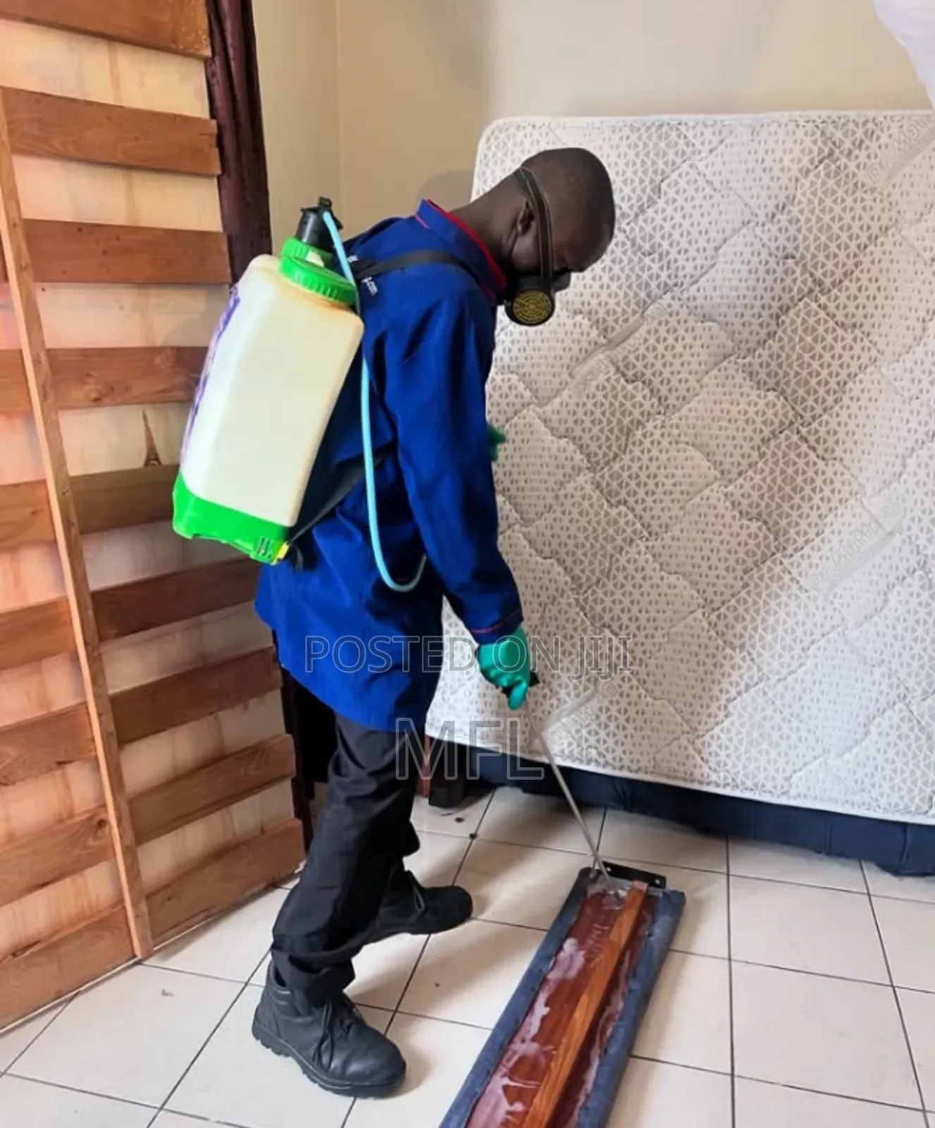 Fumigation Bedbugs at Home