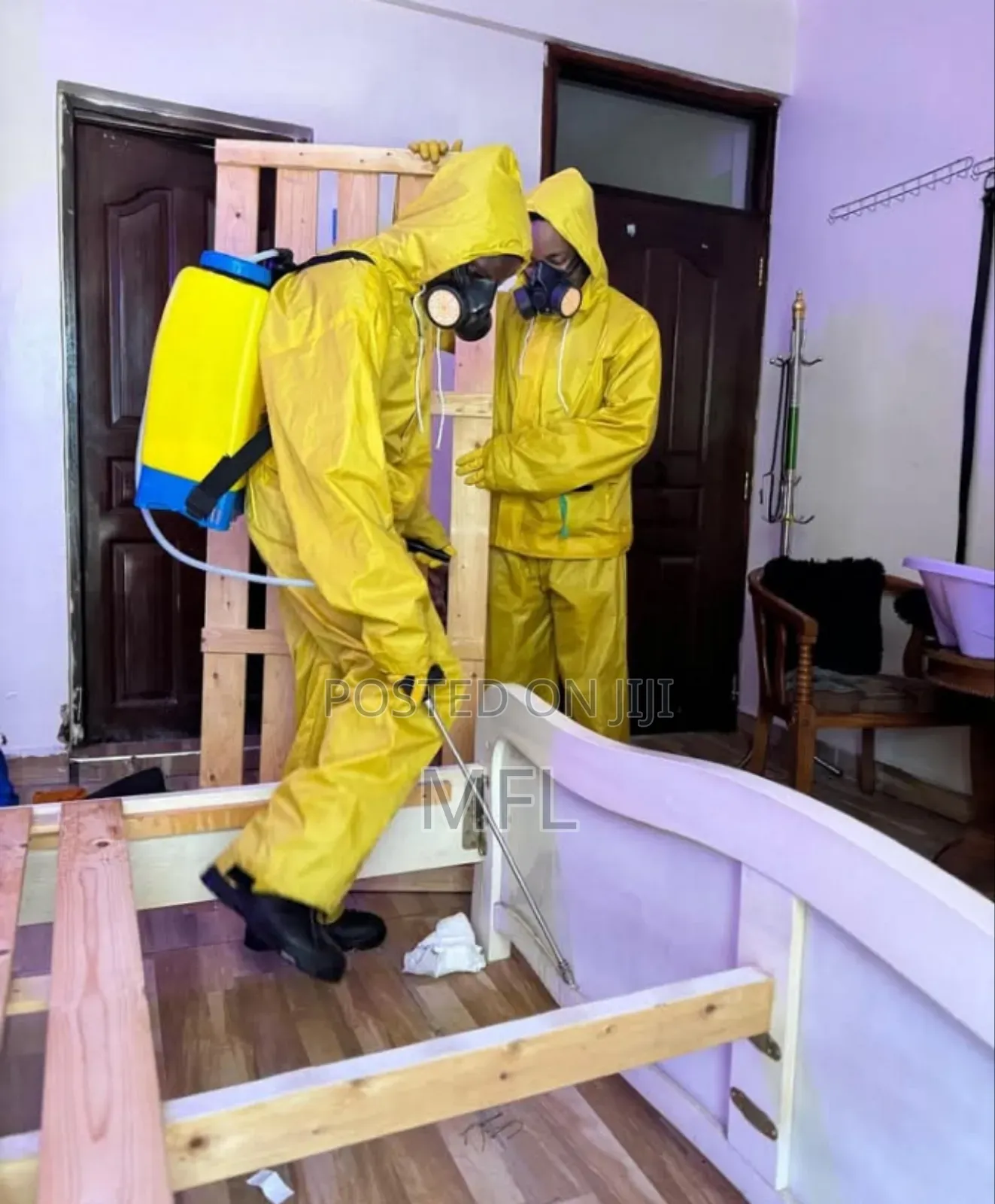 Bedbugs Fumigation in Bedrooms