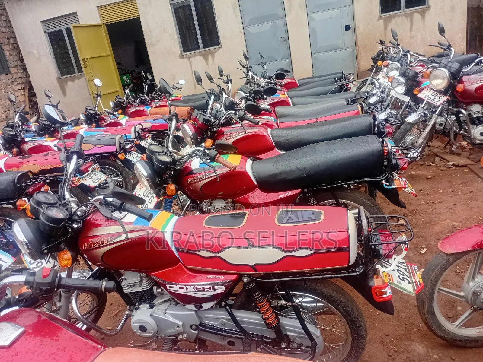 Bajaj Boxer 100 2024 Red
