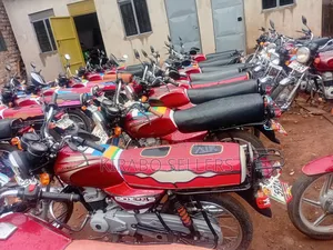 Bajaj Boxer 100 2024 Red