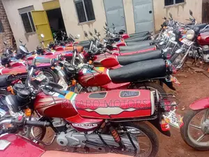 Bajaj Boxer 100 2024 Red
