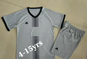 Adidas Navy Blue and Gray Color