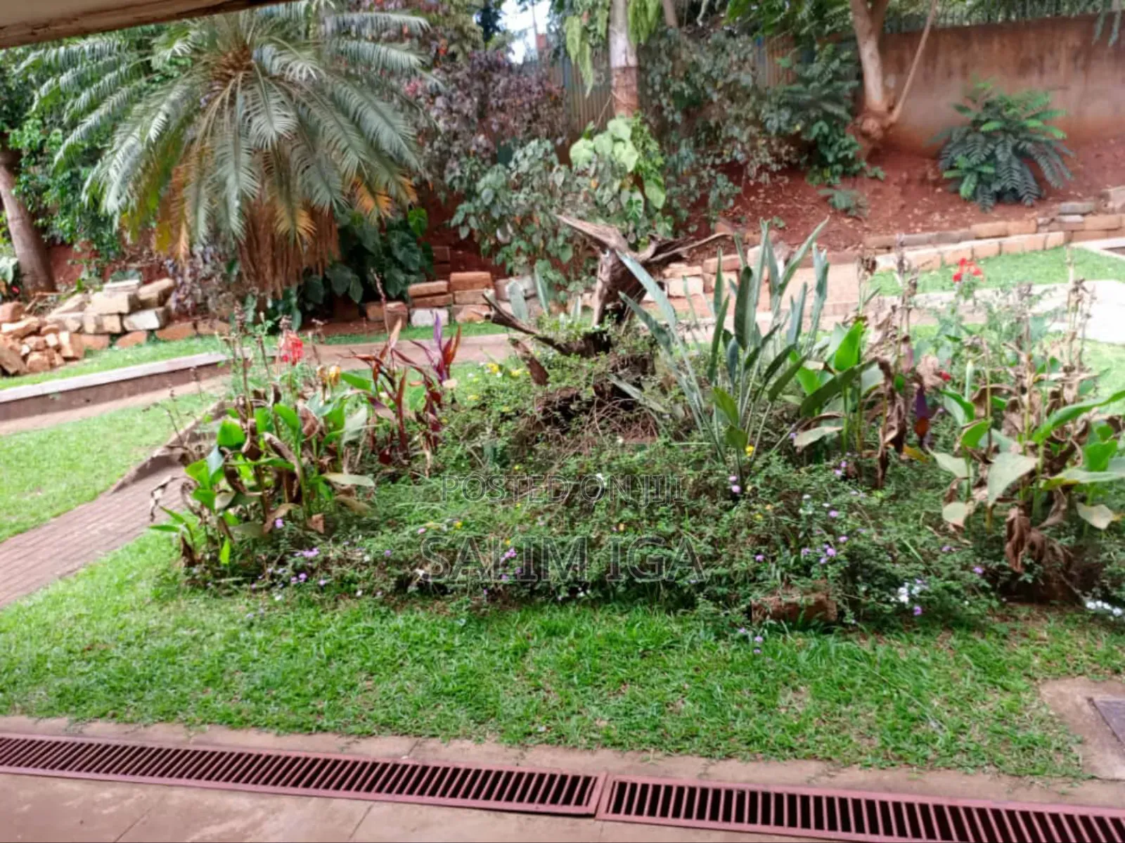 4bdrm Bungalow in Kololo Property, Central Division for rent