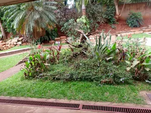 4bdrm Bungalow in Kololo Property, Central Division for rent