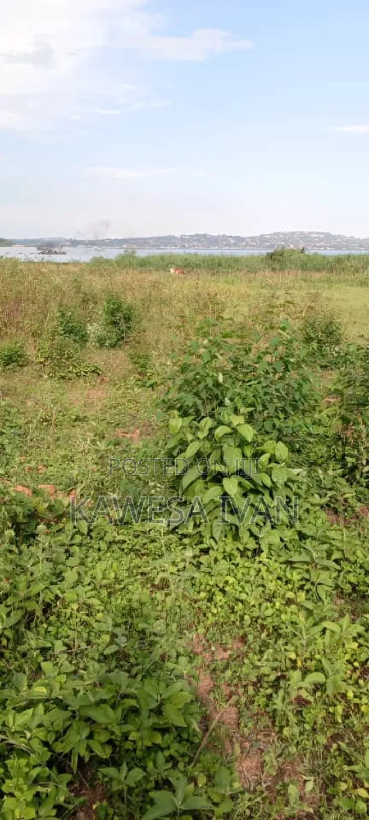 3.5 Acres Touching Lake Shores on Sale Buwaya