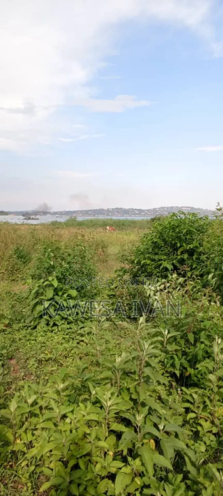 3.5 Acres Touching Lake Shores on Sale Buwaya