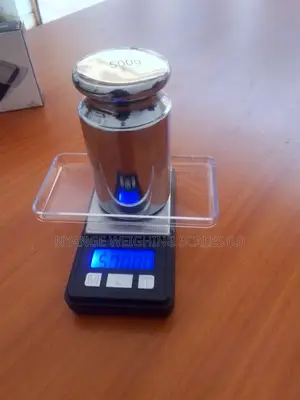 500g/0.01g Weighing Scale A.A.A Battery Powered Mini Weighing Scale