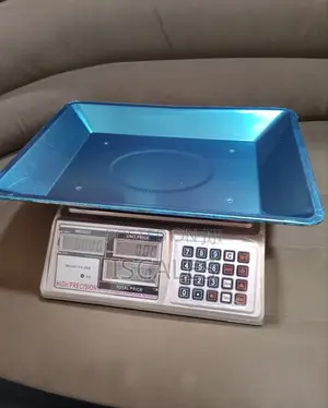 Digital Weighing Scale 60kg Computing Weigh Digital Weighing Scale