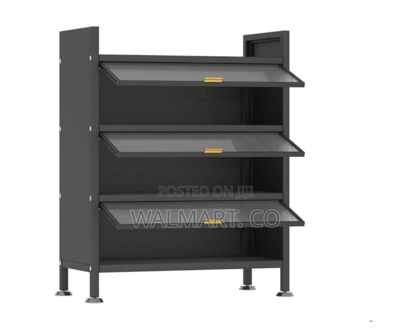 Shoe Storage Cabinet-Black