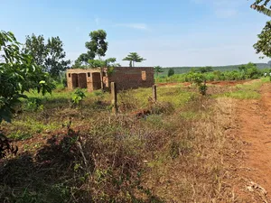 Land at Wanjeyo-Walusubi, Namawojjolo-Mukono Reduced
