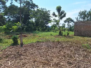 Land at Wanjeyo-Walusubi, Namawojjolo-Mukono Reduced